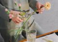 Person Holding White Flower in Clear Glass Vase
