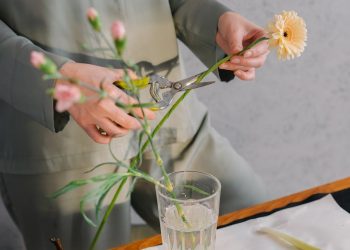 Person Holding White Flower in Clear Glass Vase