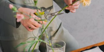 Person Holding White Flower in Clear Glass Vase