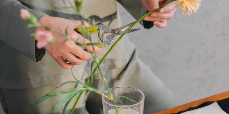 Person Holding White Flower in Clear Glass Vase