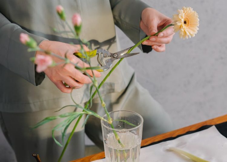 Person Holding White Flower in Clear Glass Vase